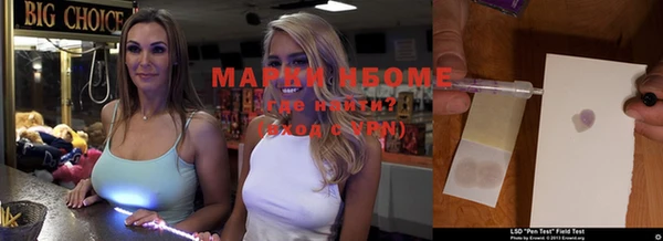 прущая мука Арсеньев