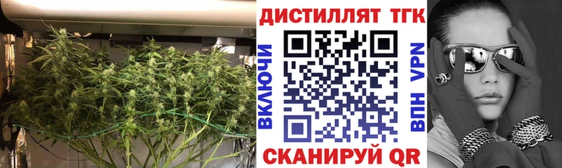 ТГК вейп  Курчалой 