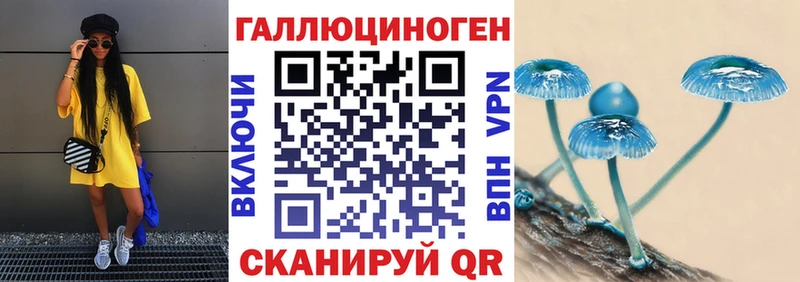 Псилоцибиновые грибы Cubensis  Курчалой 