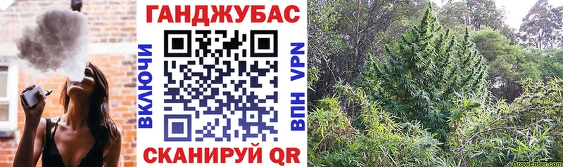 hydra   Курчалой  Марихуана марихуана  где купить  